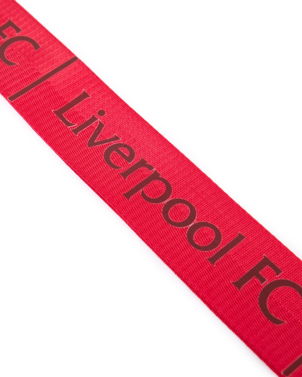 LFC ラゲッジストラップ - Image 3