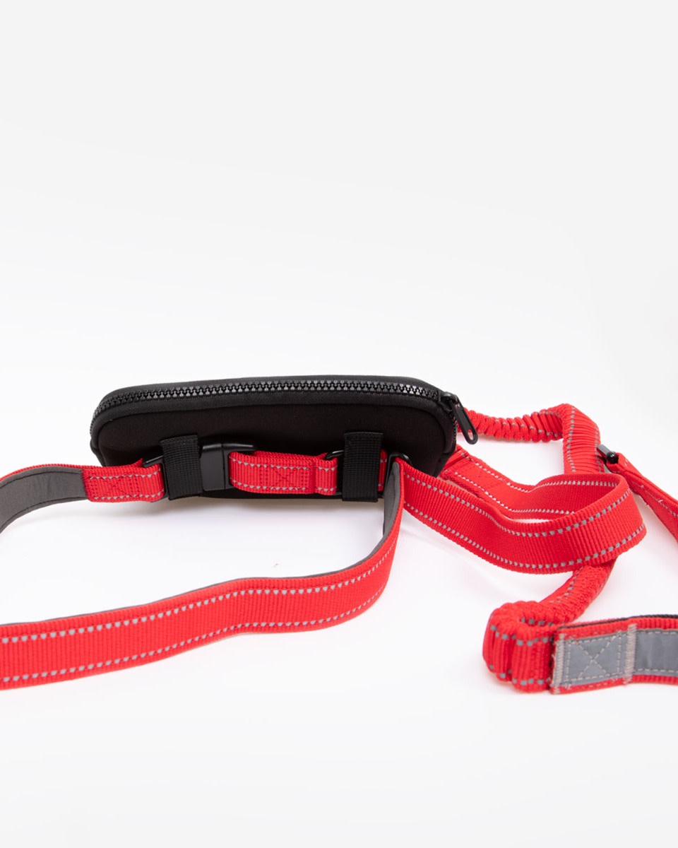 LFC Dog Running Lead - Image 2