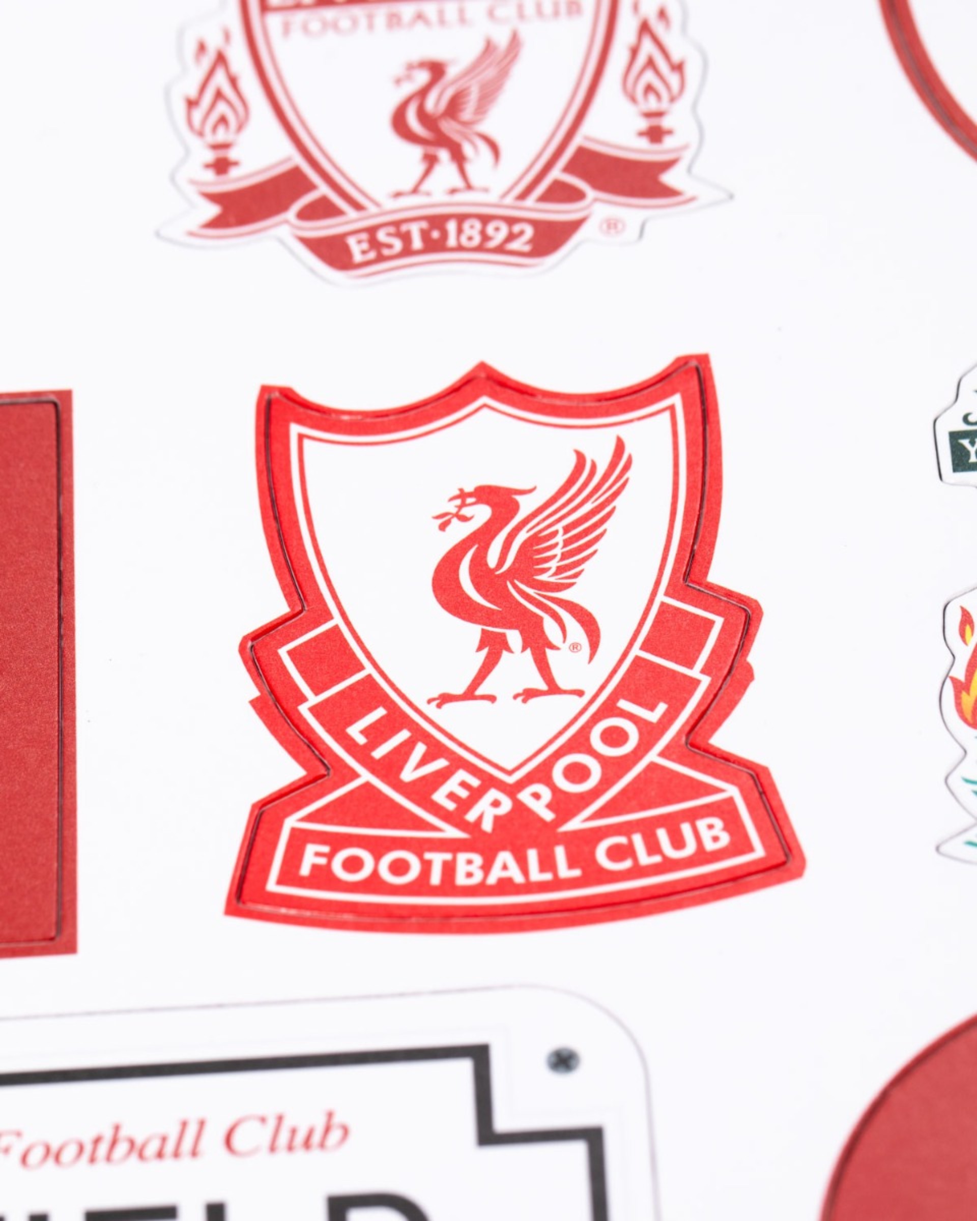Kit d'aimants LFC 18 - Image 3