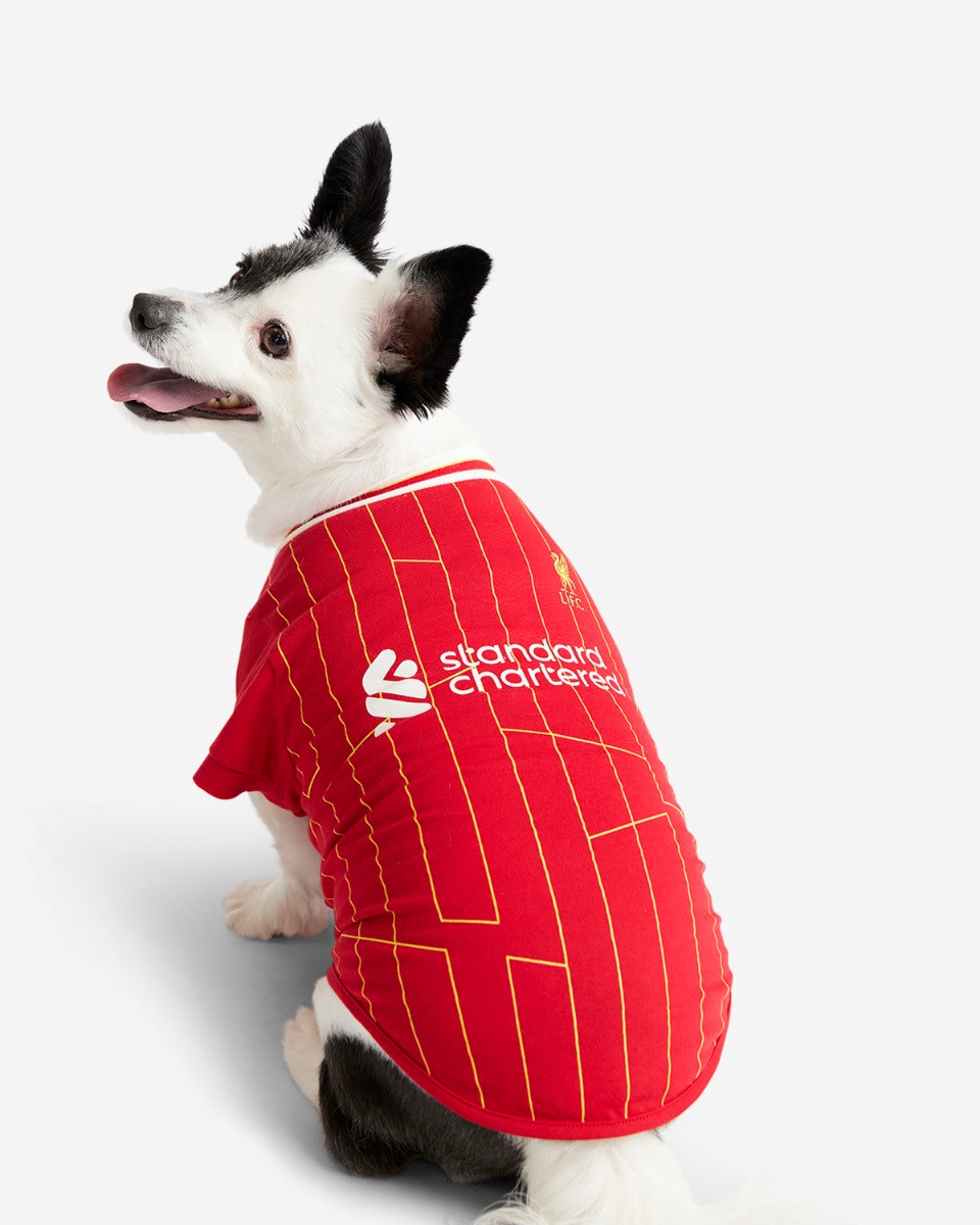 LFC 24/25 Home Pet Tee - Image 1