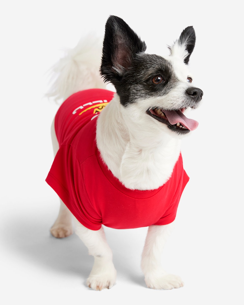 LFC Dog Das ist Anfield Tee - Image 2