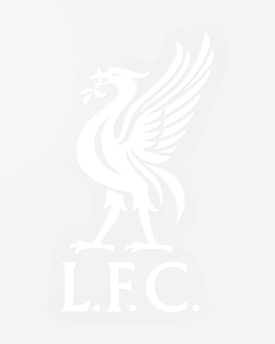 Petit autocollant pour voiture LFC - Image 1